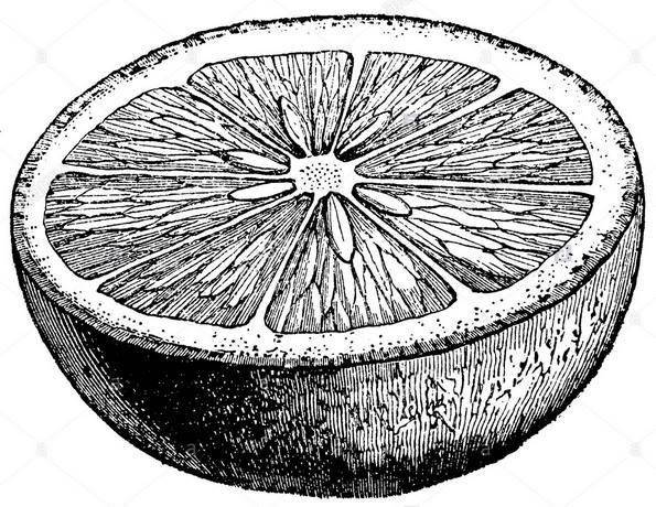 LA HISTORIA DE LAS NARANJAS.